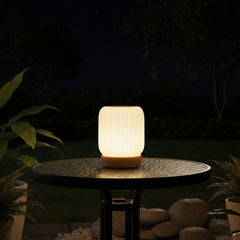 Minimalist Wooden Base Table Lamp Ribbed Plastic Shade USB C Dimmable Bedside Light